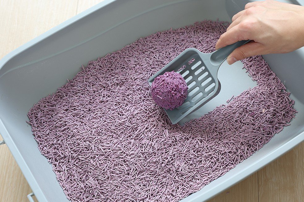 5593 8 Uniq Βιοδιασπώμενο τόφου 12Lt Άμμος Γάτας LAVENDER - Image 12