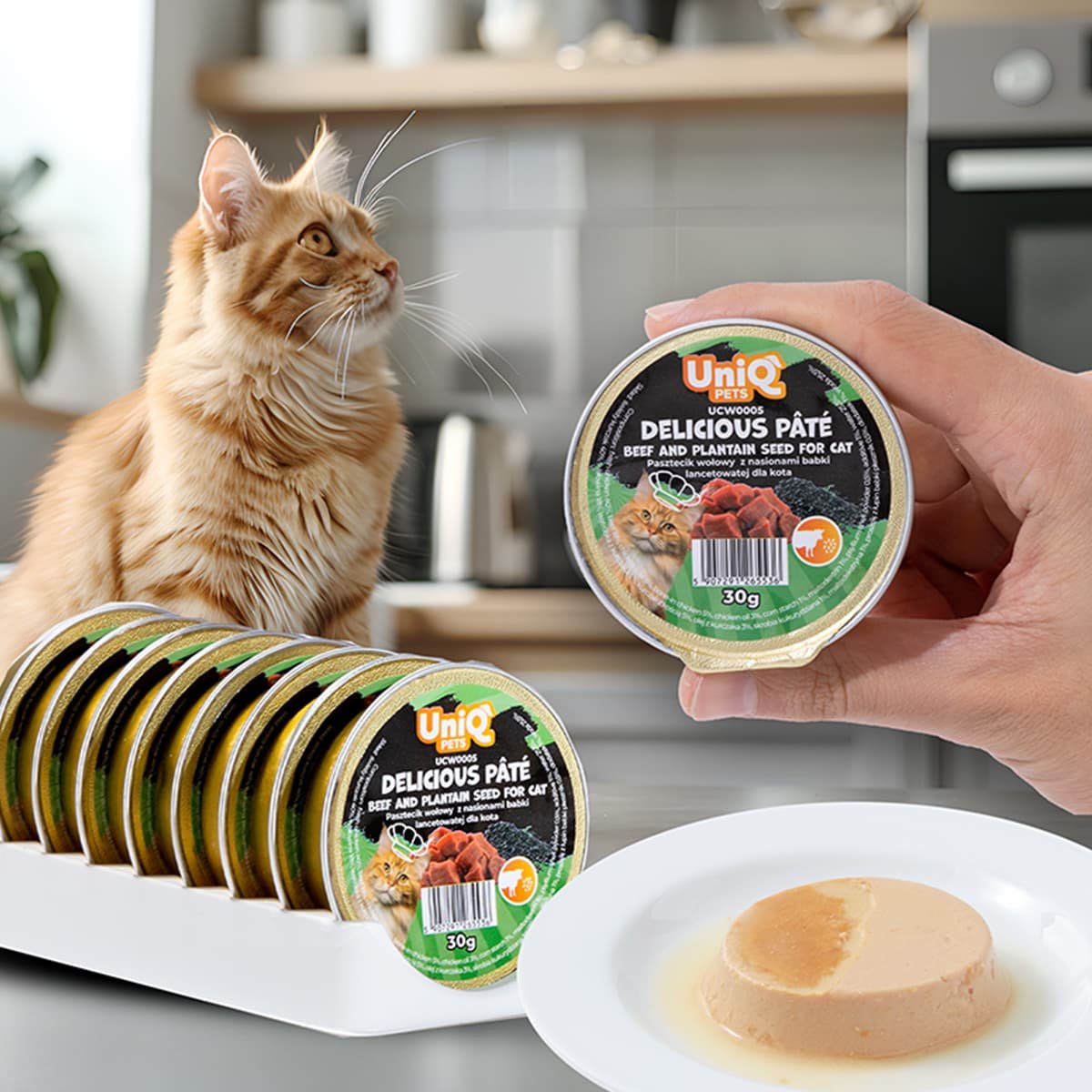 5809 4 Uniq Delicious Pate 30gr για Γάτες με Μοσχάρι και Σπόρους Πλάτανου σε Τασάκι 8τμχ - Image 4