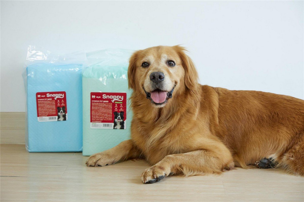 6007 8 Uniq Snappy Pawdry Blue Επιδαπέδιες Πάνες Εκπαίδευσης Σκύλων 60×90cm 20τμχ - Image 8