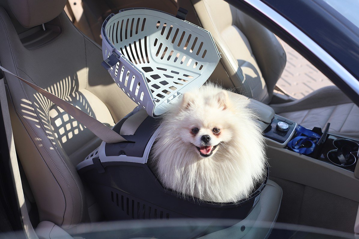 6102 4 Uniq Pets Κλουβί Μεταφοράς Safeport Avior Χωρίς Bpa (Δισφαινόλη) Γκρι - Image 5