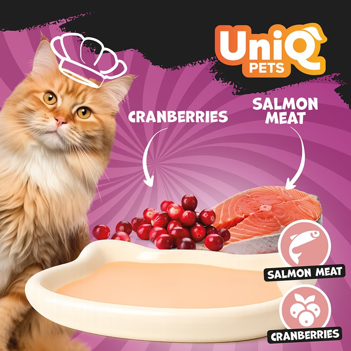6145 3 Uniq Delight Shake 60gr για Γάτες με Σολομό και Κράνμπερι σε Τασάκι 6τμχ - Image 3