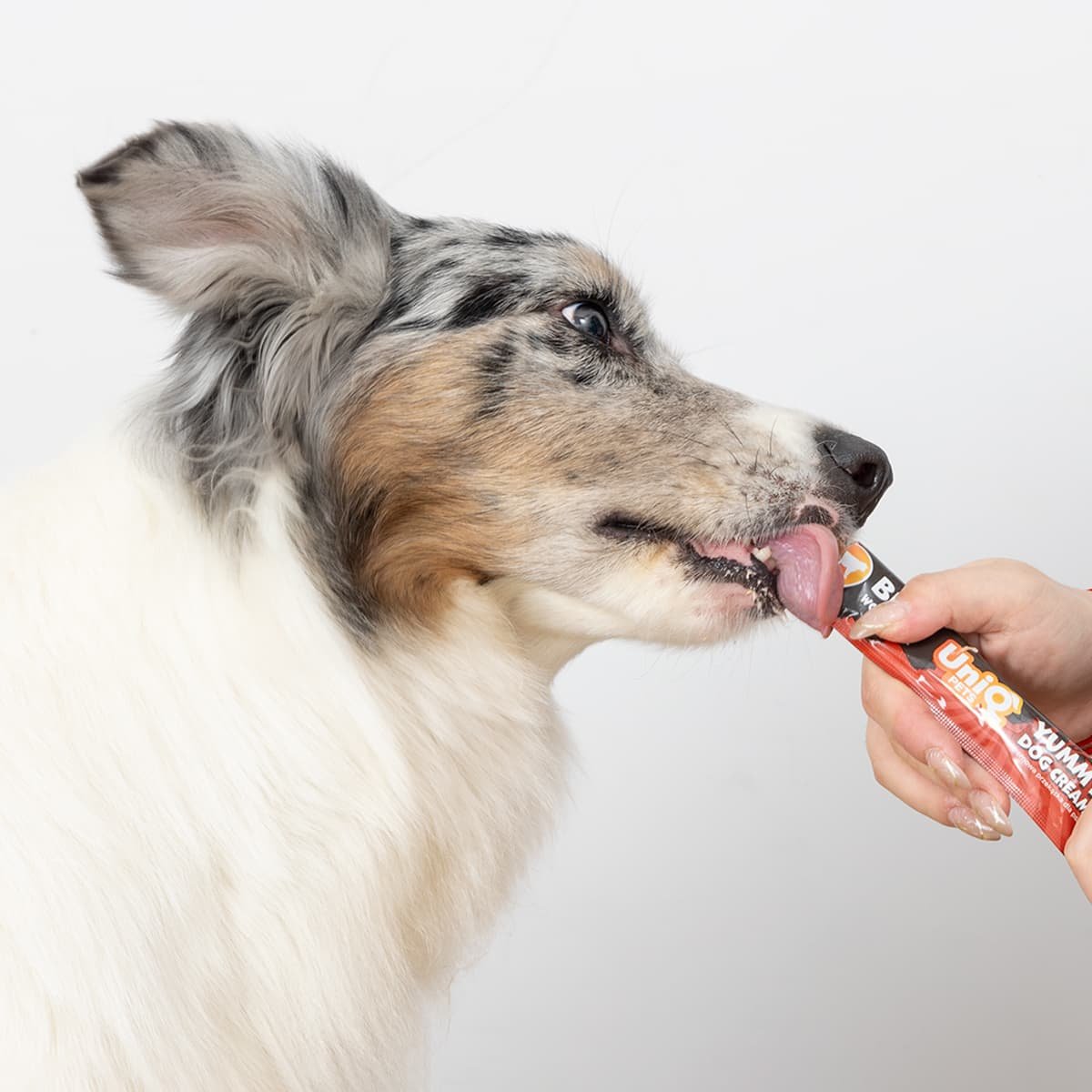 6155 4 Uniq Yummy Dog Cream 15gr για Σκύλους με Μοσχάρι 50τμχ - Image 4