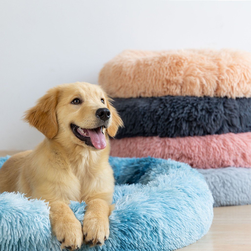 6286 1 Uniq Comfydonut Cozy Μπλε Κρεβάτι Κατοικιδίων 70x70x15cm για Κατοικίδια έως 15kg large - Image 9