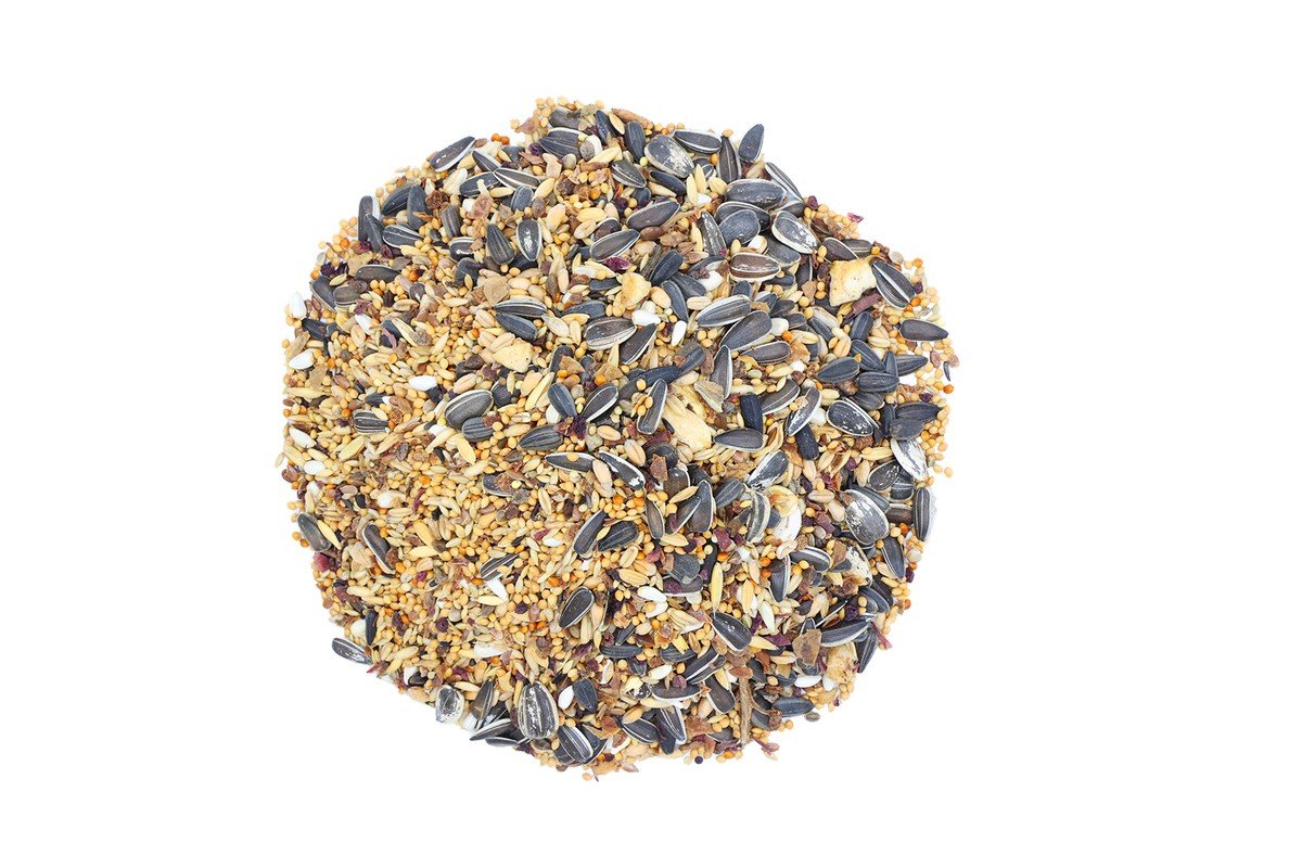 6299 2 Sing & Song Wildwings 500gr Πλήρης Τροφή για Μεσαίου Μεγέθους Παπαγάλους - Image 2