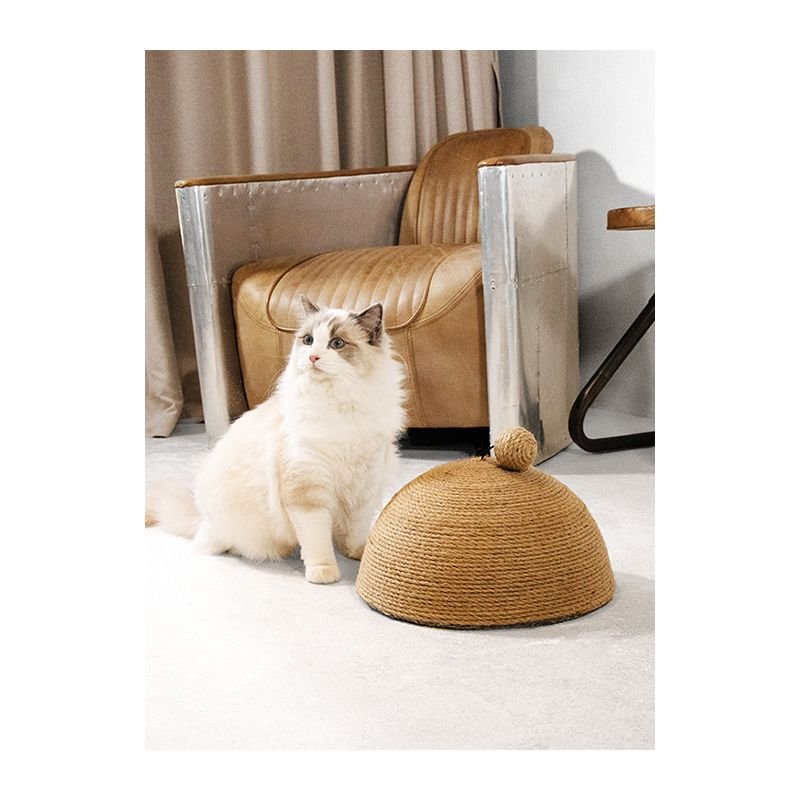 pawise Ονυχοδρόμιο Θόλος 30x30x15cm 2 pawise Ονυχοδρόμιο Θόλος 30x30x15cm 2