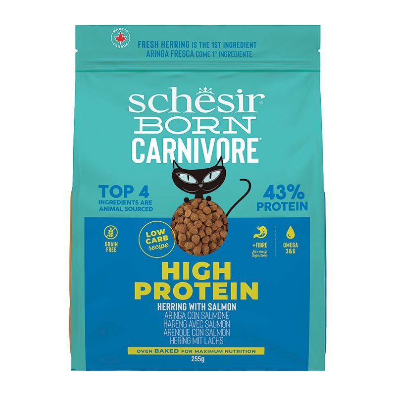 schesir cat born carnivore Ρέγγα & Σολομός schesir cat born carnivore Ρέγγα & Σολομός