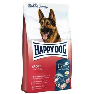 happy dog adult sport