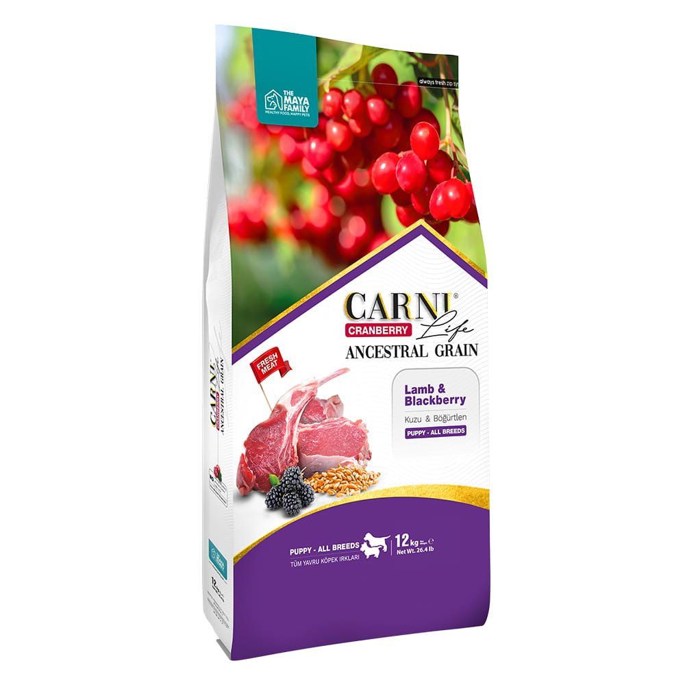 maya-family-carni-life-cranberry-12kg-xira-trofi-gia-megalosoma-koutabia-me-arni-kai-mirtilo-pcl120003 Maya Family Carni Life Cranberry 12kg ξηρά τροφή για μεγαλόσωμα κουτάβια με αρνί και μύρτιλο