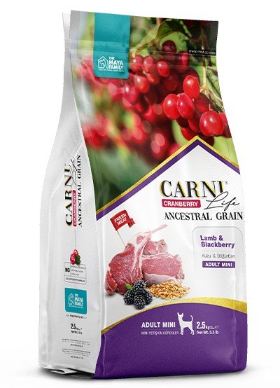 maya-family-carni-life-cranberry-2-5kg-xira-trofi-gia-enilikous-mikrosomous-skilous-me-arni-kai-mirtilo-pcl025009 Maya Family Carni Life Cranberry 2,5kg ξηρά τροφή για ενήλικους και μικρόσωμους σκύλους με αρνί και μύρτιλο