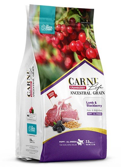 maya-family-carni-life-cranberry-2-5kg-xira-trofi-gia-megalosoma-koutabia-me-arni-kai-mirtilo-pcl025003 Maya Family Carni Life Cranberry 2,5kg ξηρά τροφή για μεγαλόσωμα κουτάβια με αρνί και μύρτιλο